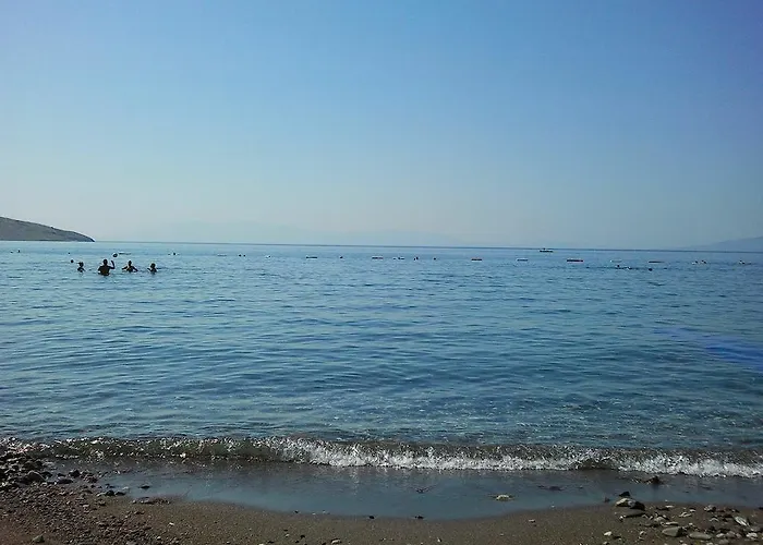 Altinkaya *