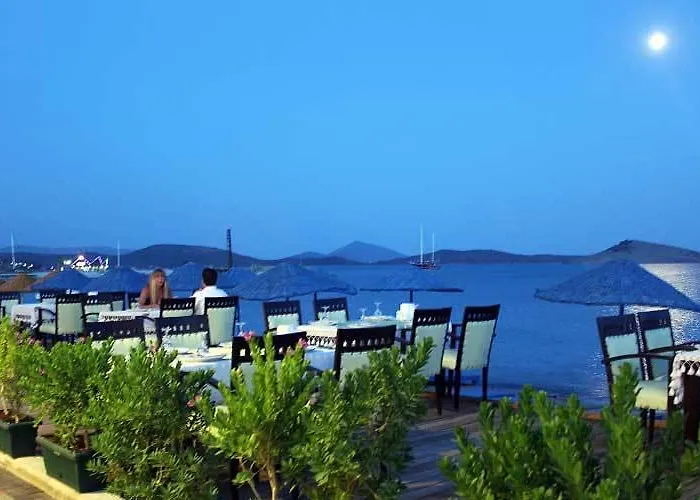 Altinkaya