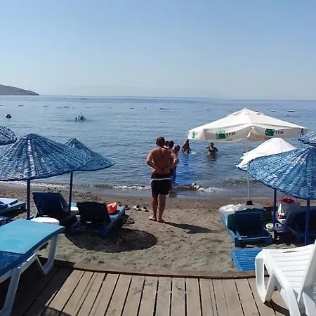 Altinkaya
